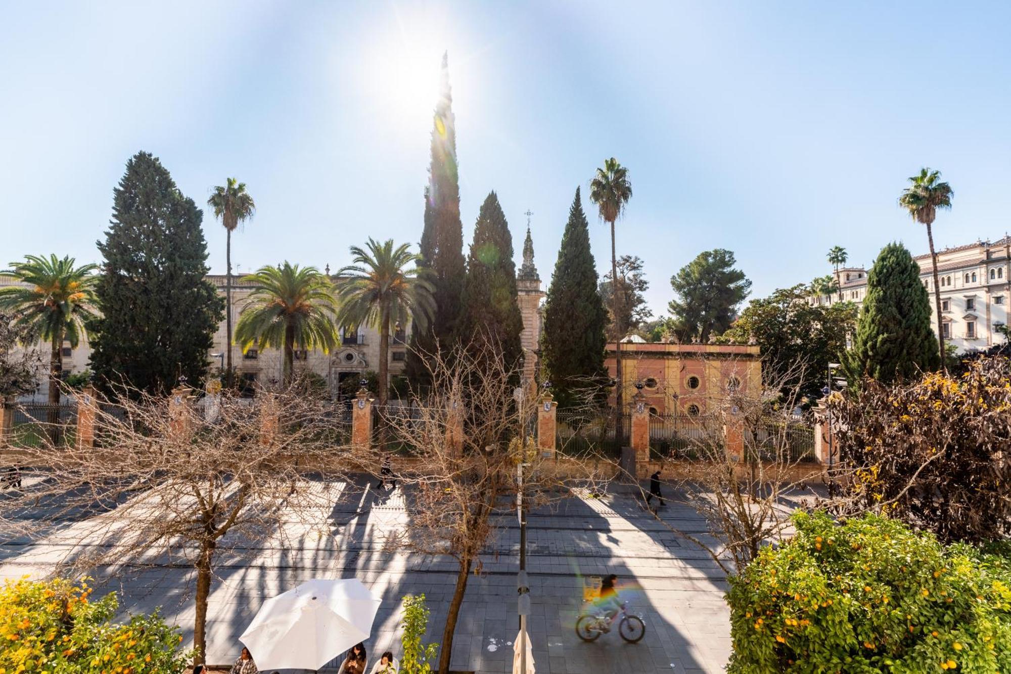 Apartamento Sf Con Balcones Con Vistas Al Alfonso Xiii Y A La Universidad *